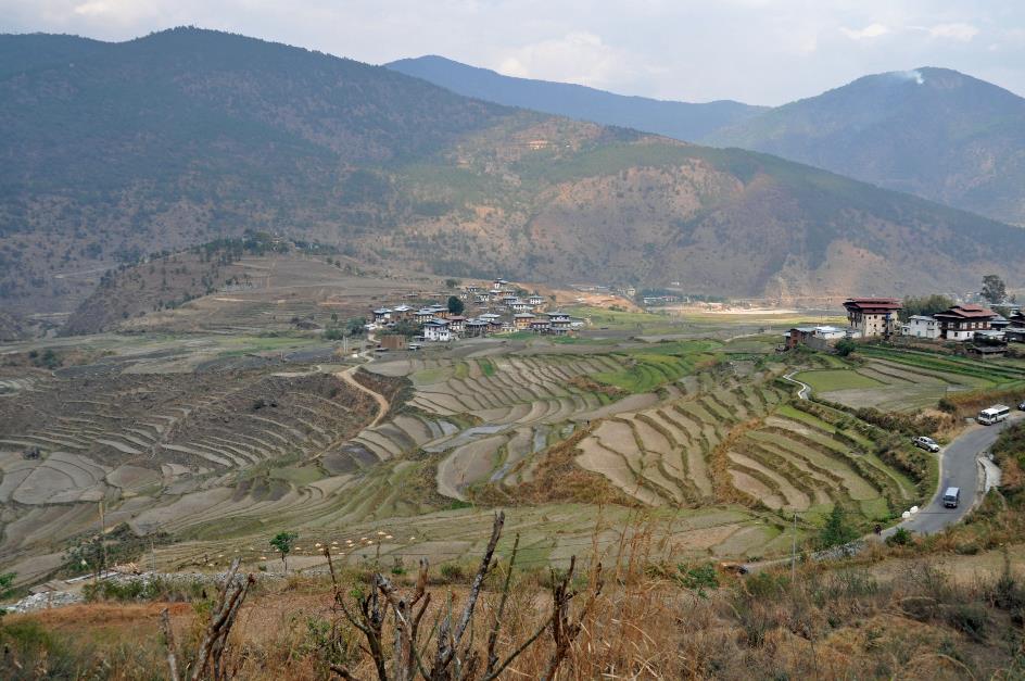 D:\DataFoto\Foto's - Reizen\2014-04-05 Darjeeling - Sikkim - Bhutan\07 Naar Punaka\BHUT1941y.jpg