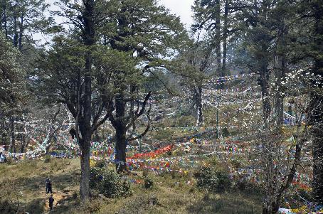 D:\DataFoto\Foto's - Reizen\2014-04-05 Darjeeling - Sikkim - Bhutan\07 Naar Punaka\BHUT1869y.jpg