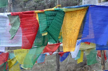 D:\DataFoto\Foto's - Reizen\2014-04-05 Darjeeling - Sikkim - Bhutan\09 Naar Bumthang\BHUT2268y.jpg
