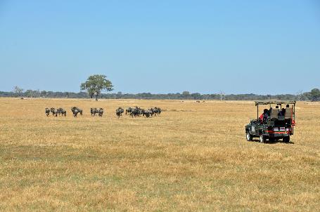 D:\DataFoto\Foto's - Reizen\2014-07-09 Victoria Falls\03 Hwange Safari 1V\Best Of\VICT0341y.jpg