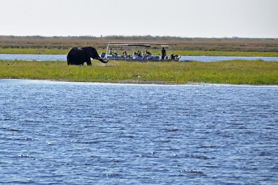 D:\DataFoto\Foto's - Reizen\2014-07-09 Victoria Falls\08 Chobe Boot 1N\Best Of\VICT1116y.jpg