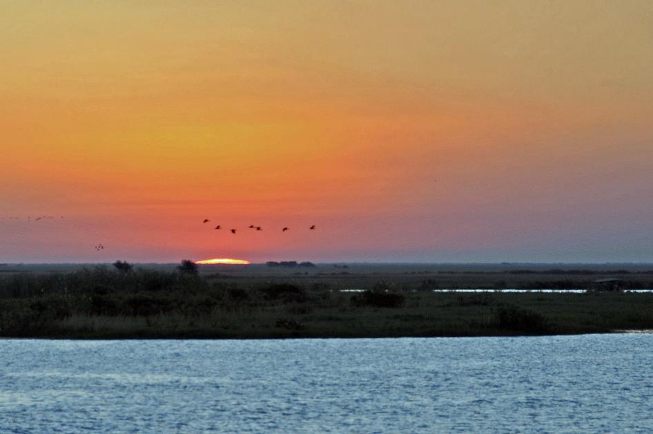 D:\DataFoto\Foto's - Reizen\2014-07-09 Victoria Falls\08 Chobe Boot 1N\Best Of\VICT1368y.jpg