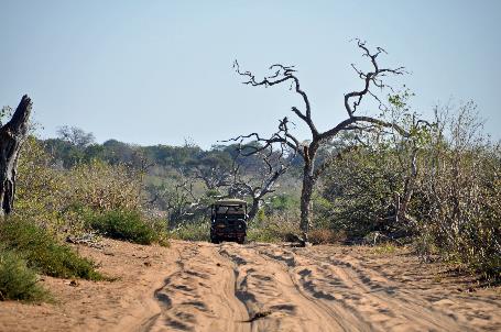 D:\DataFoto\Foto's - Reizen\2014-07-09 Victoria Falls\11 Chobe Safari 2N\Best Of\VICT1755y.jpg