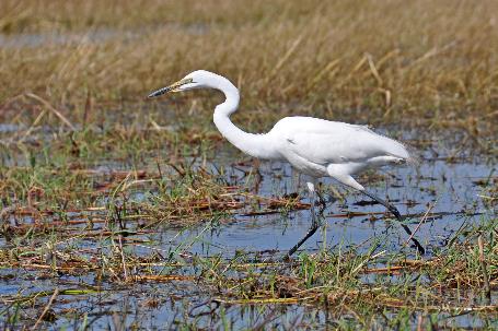 D:\DataFoto\Foto's - Reizen\2014-07-09 Victoria Falls\12 Chobe Boot 3V\Best Of\VICT2270y.jpg