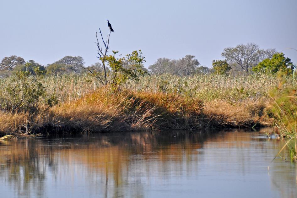 D:\DataFoto\Foto's - Reizen\2014-07-09 Victoria Falls\16 Mazambala Walk 2V\Best Of\VICT2983y.jpg