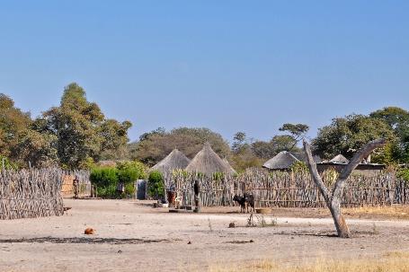 D:\DataFoto\Foto's - Reizen\2014-07-09 Victoria Falls\14 Naar Mazambala\Best Of\VICT2625y.jpg