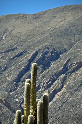 D:\DataFoto\Foto's - Reizen\2015-07-11 Argentinie - Bolivie - Chili\12 Paleta del Pintor\AGBC1024y.jpg