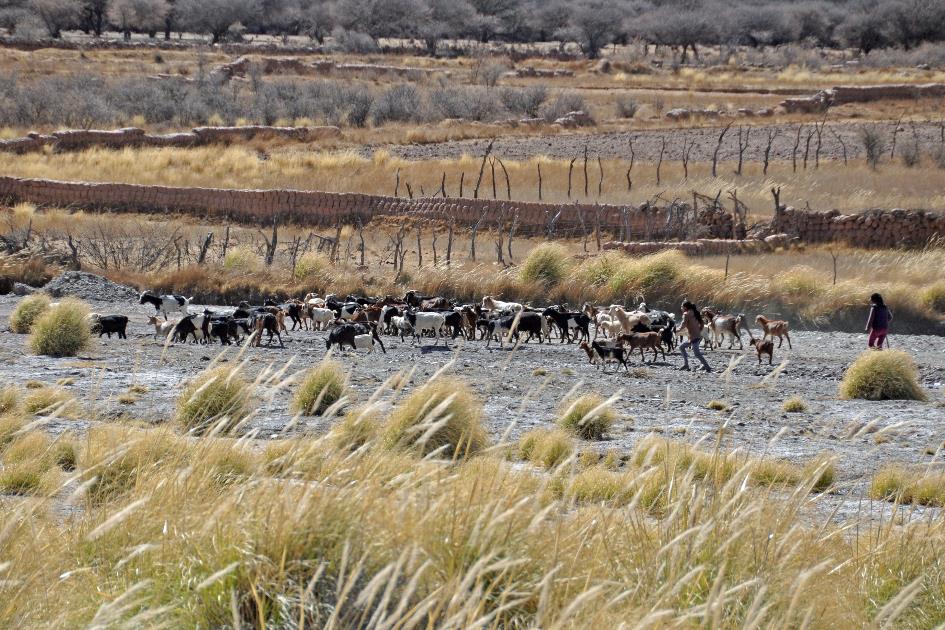 D:\DataFoto\Foto's - Reizen\2015-07-11 Argentinie - Bolivie - Chili\19 Naar Uyuni\AGBC1795y.jpg