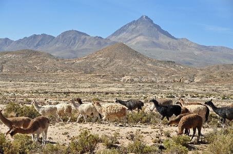 D:\DataFoto\Foto's - Reizen\2015-07-11 Argentinie - Bolivie - Chili\19 Naar Uyuni\AGBC1881y.jpg