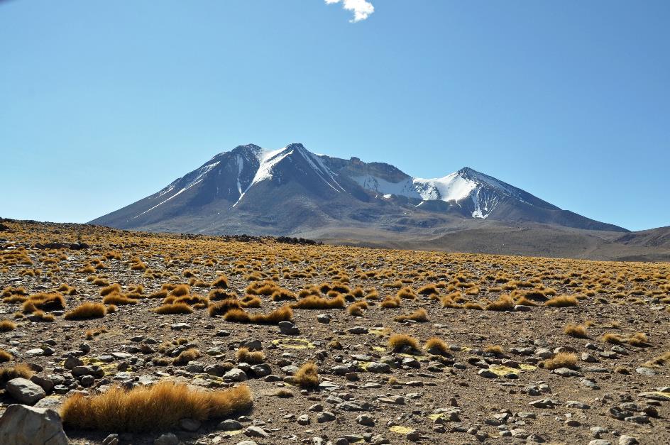 D:\DataFoto\Foto's - Reizen\2015-07-11 Argentinie - Bolivie - Chili\27 Naar Ojo de Perdiz\AGBC2659y.jpg