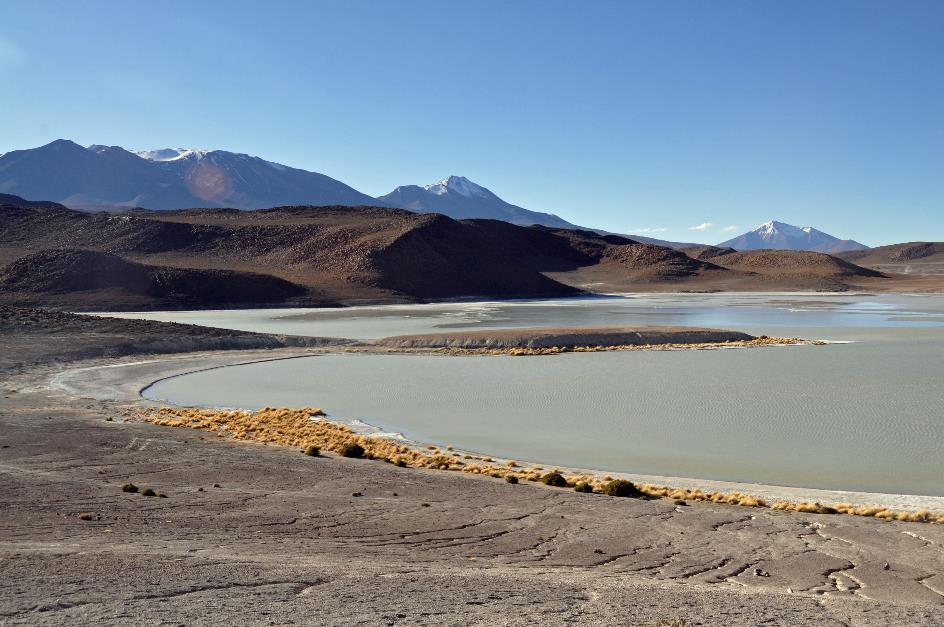D:\DataFoto\Foto's - Reizen\2015-07-11 Argentinie - Bolivie - Chili\27 Naar Ojo de Perdiz\AGBC2848y.jpg