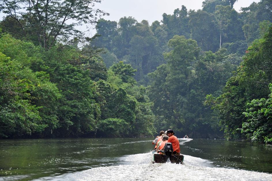 D:\DataFoto\Foto's - Reizen\2016-03-26 Borneo\03 Mulu NP - Penan\BORN0225y.jpg