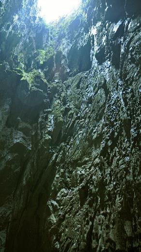 D:\DataFoto\Foto's - Reizen\2016-03-26 Borneo\04 Mulu NP - Grotten (V)\BORN0489b.jpg