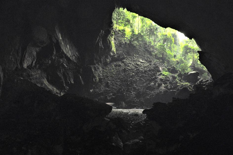 D:\DataFoto\Foto's - Reizen\2016-03-26 Borneo\05 Mulu NP - Grotten (N)\BORN0860x.jpg