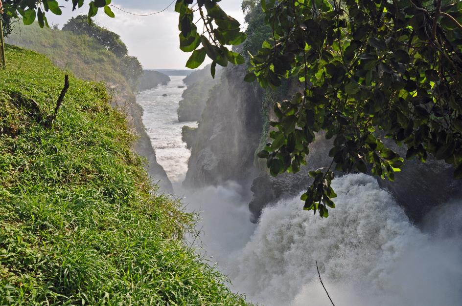 D:\DataFoto\Foto's - Reizen\2016-07-11 Oeganda - Rwanda\04 Murchison Falls Wandeling 1N2\Best Of\OERW0878y.jpg