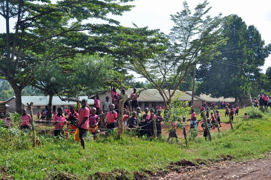 D:\DataFoto\Foto's - Reizen\2016-07-11 Oeganda - Rwanda\08 Naar Lake Papaya\Best Of\OERW1208y.jpg