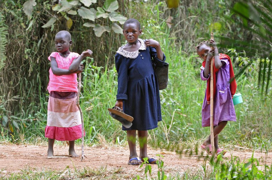 D:\DataFoto\Foto's - Reizen\2016-07-11 Oeganda - Rwanda\10 Bigodi Wetlands Wandeling\Best Of\OERW1615y.jpg