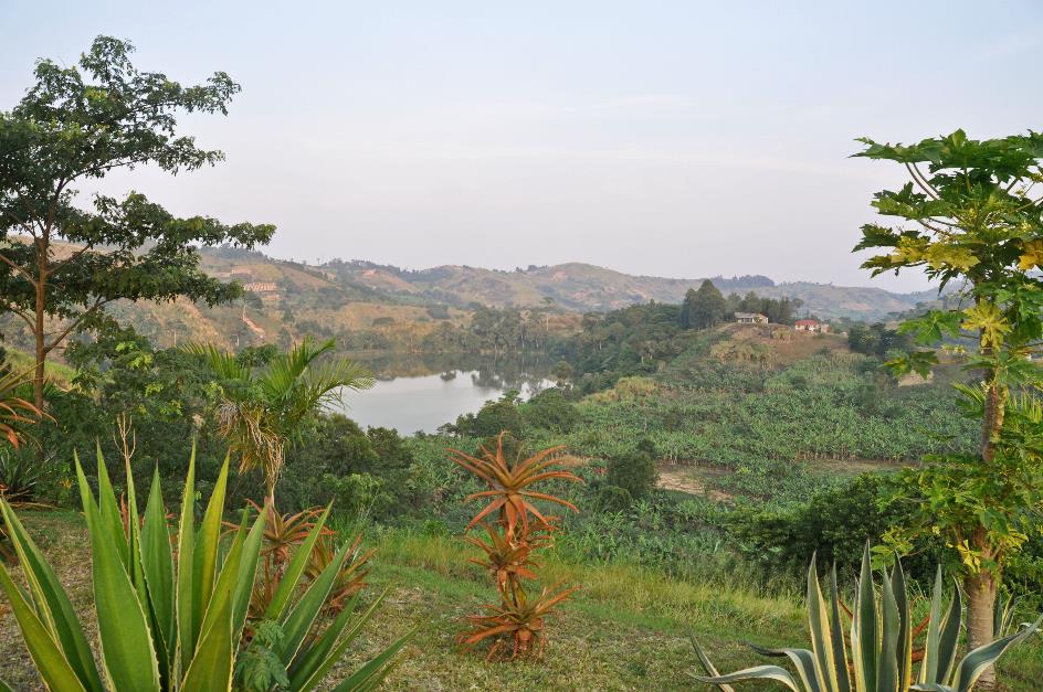 D:\DataFoto\Foto's - Reizen\2016-07-11 Oeganda - Rwanda\11 Hotel Lake Papaya\Best Of\OERW1710y.jpg