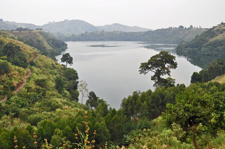 D:\DataFoto\Foto's - Reizen\2016-07-11 Oeganda - Rwanda\12 Lake Papaya Wandeling\Best Of\OERW1825y.jpg