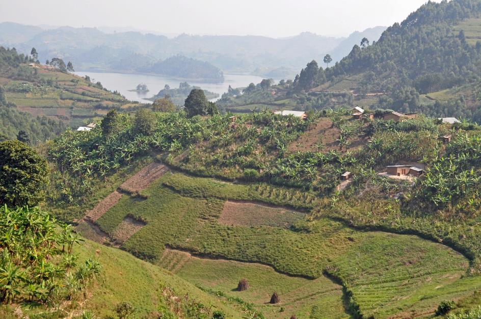 D:\DataFoto\Foto's - Reizen\2016-07-11 Oeganda - Rwanda\21 Naar Lake Mutanda 2\Best Of\OERW3107y.jpg