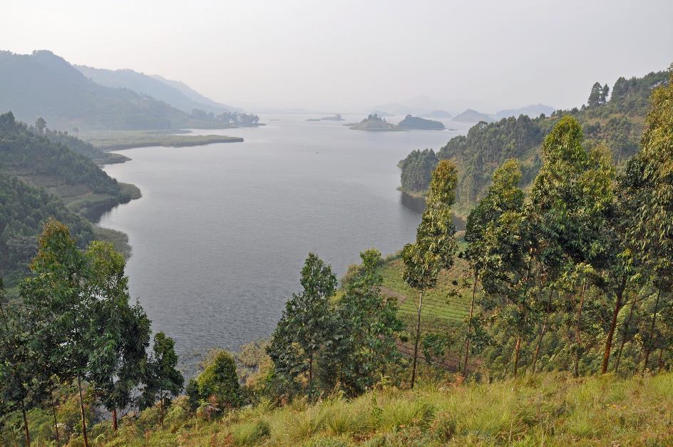 D:\DataFoto\Foto's - Reizen\2016-07-11 Oeganda - Rwanda\22 Lake Mutanda Wandeling\Best Of\OERW3130y.jpg