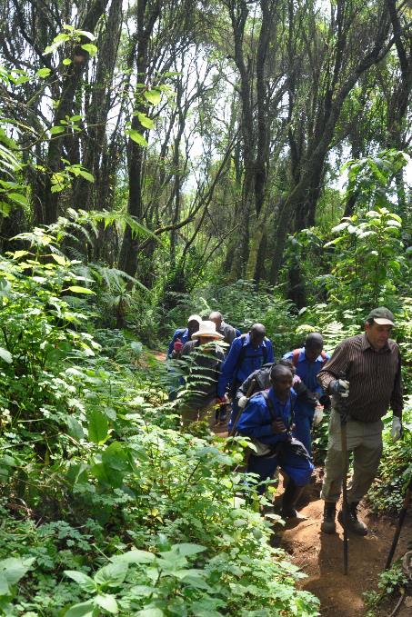 D:\DataFoto\Foto's - Reizen\2016-07-11 Oeganda - Rwanda\26 Virunga Gorilla Trekking\Best Of\OERW3405s.jpg