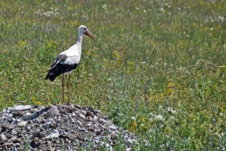 D:\DataFoto\Foto's - Reizen\2017-07-15 Georgie - Armenie (herschikt)\20 Naar Vardzia\Best Of\GEAM1331y.jpg