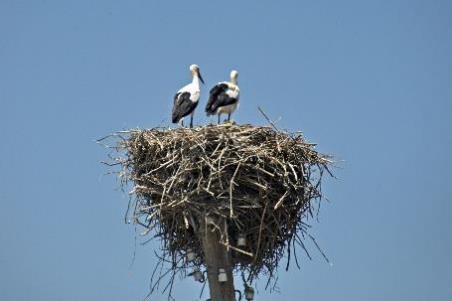 D:\DataFoto\Foto's - Reizen\2017-07-15 Georgie - Armenie (herschikt)\20 Naar Vardzia\Best Of\GEAM1363y.jpg