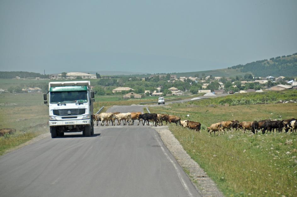 D:\DataFoto\Foto's - Reizen\2017-07-15 Georgie - Armenie (herschikt)\20 Naar Vardzia\Best Of\GEAM1360y.jpg