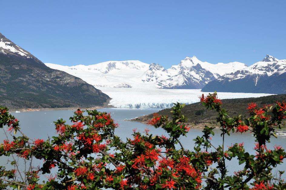 D:\DataFoto\Foto's - Reizen\2017-10-29 Patagonie\14 Perito Moreno (herschikt)\1400 Best Of\1411 Gletsjer van op afstand (zuid)\PAGO2384x.jpg