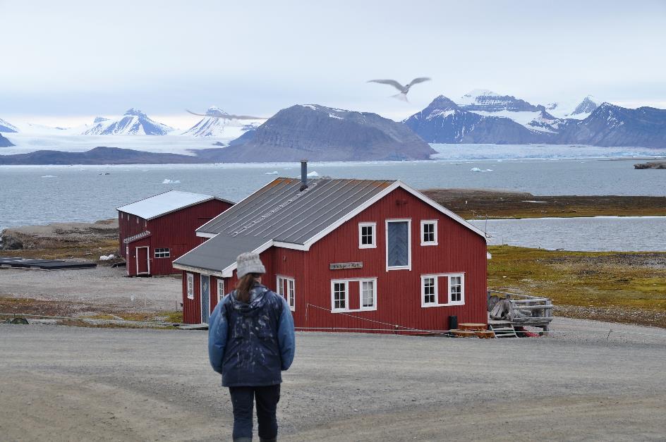 D:\DataFoto\Foto's - Reizen\2018-07-18 Spitsbergen\02 Ny-Alesund\Werkmap\SPIT0271x.jpg