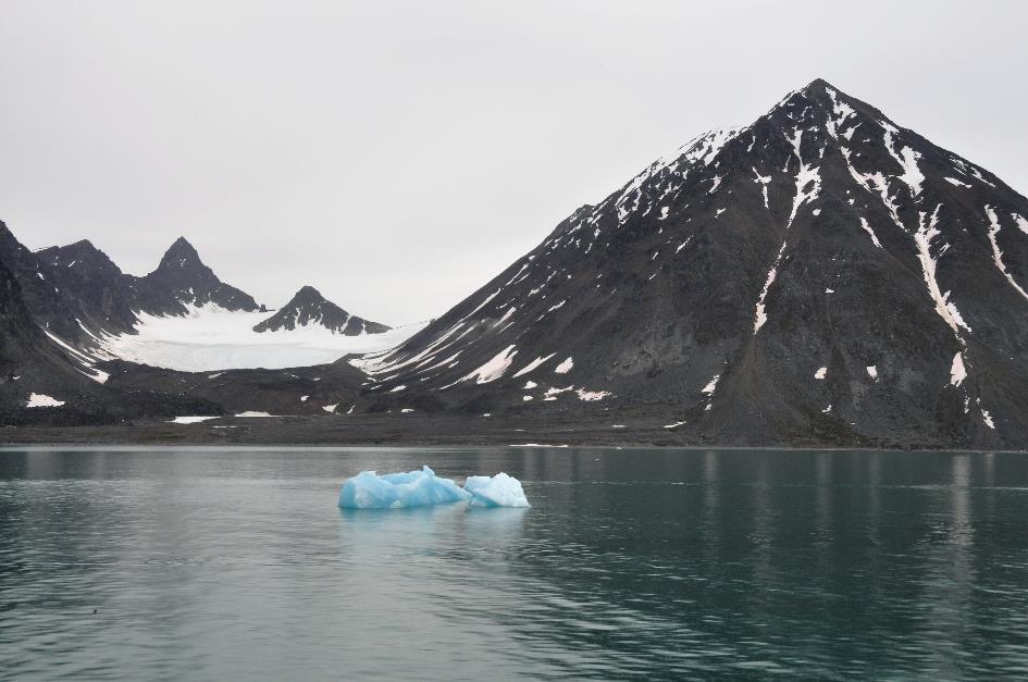 D:\DataFoto\Foto's - Reizen\2018-07-18 Spitsbergen\03 Magdalenefjorden\Werkmap\SPIT0307x.jpg