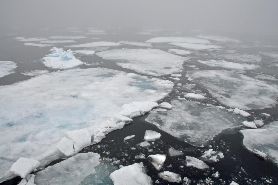 D:\DataFoto\Foto's - Reizen\2018-07-18 Spitsbergen\07 Ice Edge\Best Of\SPIT0873y.jpg