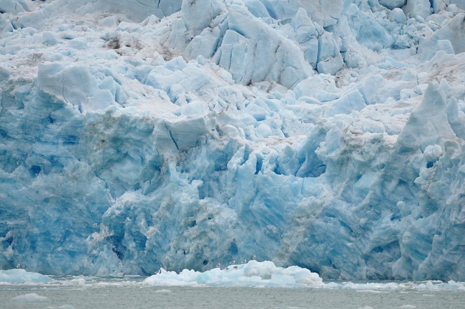 D:\DataFoto\Foto's - Reizen\2018-07-18 Spitsbergen\04 Smeerenburgfjorden\Werkmap\SPIT0502x.jpg