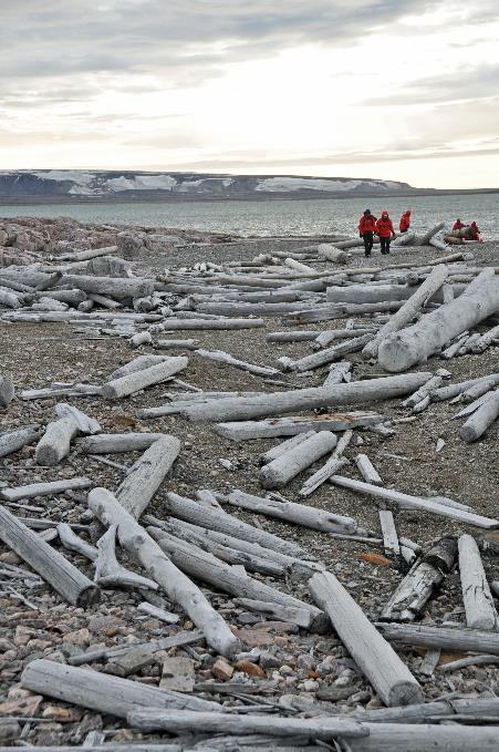 D:\DataFoto\Foto's - Reizen\2018-07-18 Spitsbergen\10 Sorgfjorden\Best Of\SPIT1376y.jpg