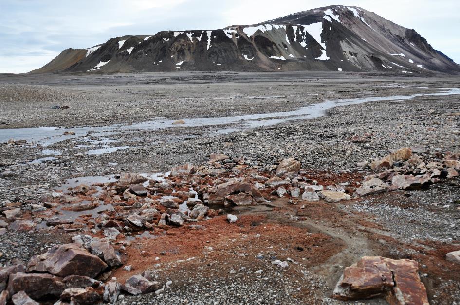 D:\DataFoto\Foto's - Reizen\2018-07-18 Spitsbergen\10 Sorgfjorden\Werkmap\SPIT1425x.jpg