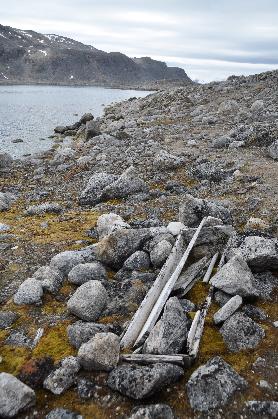 D:\DataFoto\Foto's - Reizen\2018-07-18 Spitsbergen\05 Ytre Norskoya\Werkmap\SPIT0749x.jpg