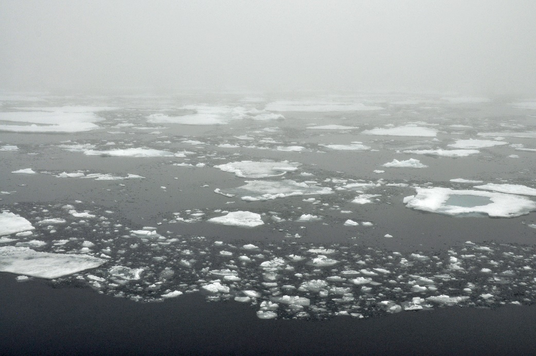 D:\DataFoto\Foto's - Reizen\2018-07-18 Spitsbergen\07 Ice Edge\Best Of\SPIT0849y.jpg