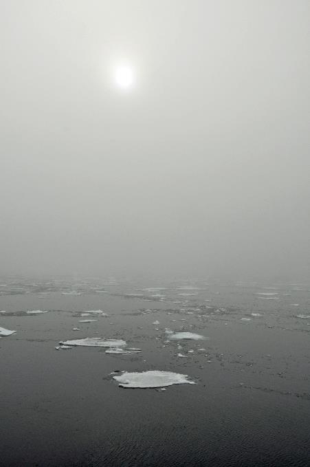 D:\DataFoto\Foto's - Reizen\2018-07-18 Spitsbergen\07 Ice Edge\Best Of\SPIT0848y.jpg