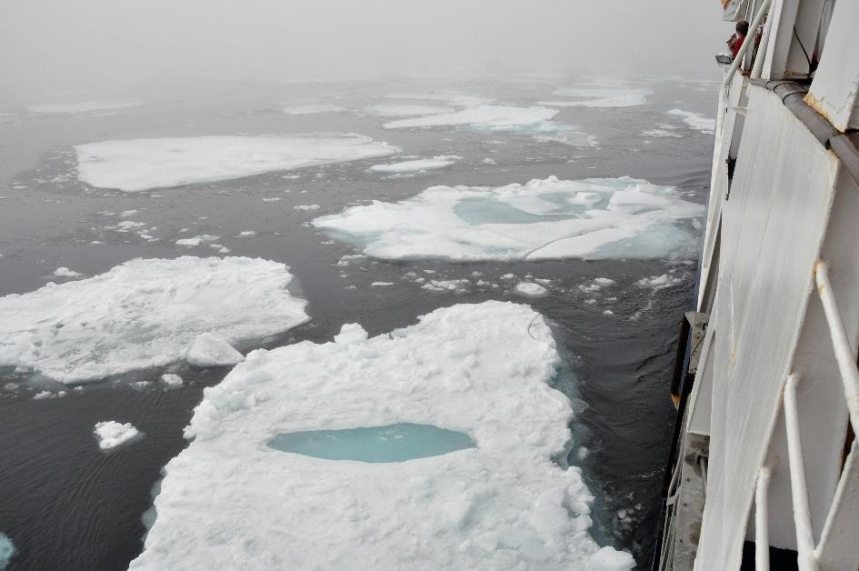 D:\DataFoto\Foto's - Reizen\2018-07-18 Spitsbergen\07 Ice Edge\SPIT0852x.jpg