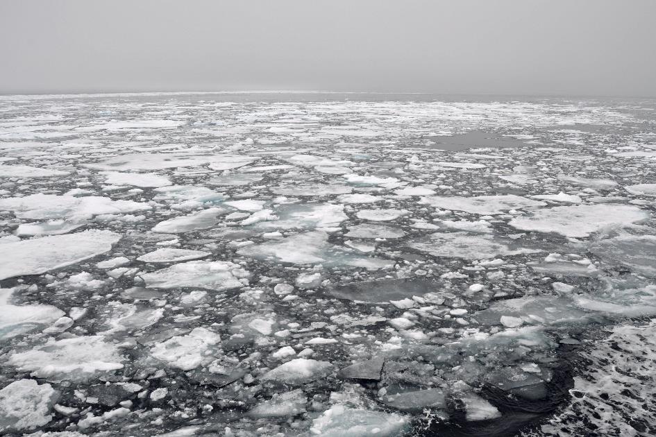 D:\DataFoto\Foto's - Reizen\2018-07-18 Spitsbergen\07 Ice Edge\Best Of\SPIT0889y.jpg