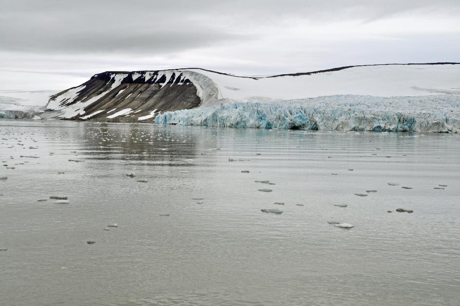 D:\DataFoto\Foto's - Reizen\2018-07-18 Spitsbergen\12 Vegafonna\Best Of\SPIT1607y.jpg