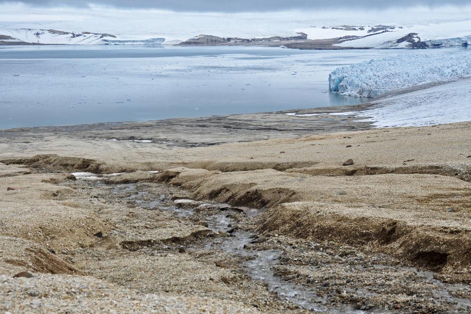 D:\DataFoto\Foto's - Reizen\2018-07-18 Spitsbergen\12 Vegafonna\Best Of\SPIT1647y.jpg