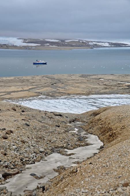 D:\DataFoto\Foto's - Reizen\2018-07-18 Spitsbergen\12 Vegafonna\Best Of\SPIT1764y.jpg