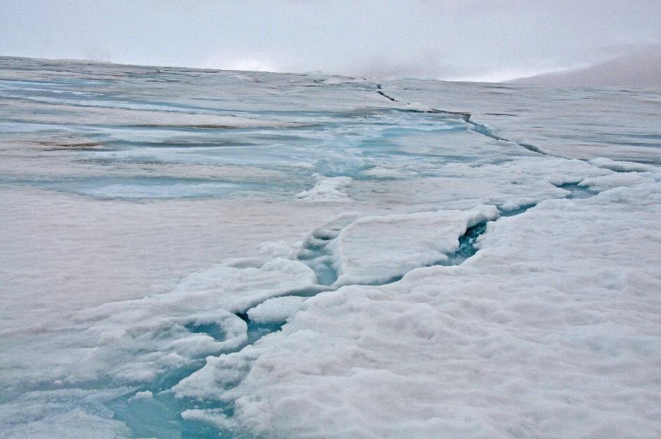 D:\DataFoto\Foto's - Reizen\2018-07-18 Spitsbergen\12 Vegafonna\Best Of\SPIT1652y.jpg