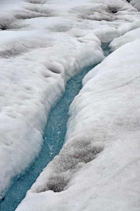 D:\DataFoto\Foto's - Reizen\2018-07-18 Spitsbergen\12 Vegafonna\Best Of\SPIT1670y.jpg