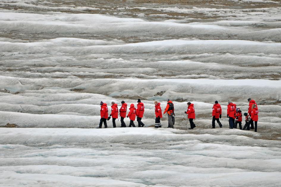 D:\DataFoto\Foto's - Reizen\2018-07-18 Spitsbergen\12 Vegafonna\Best Of\SPIT1773y.jpg