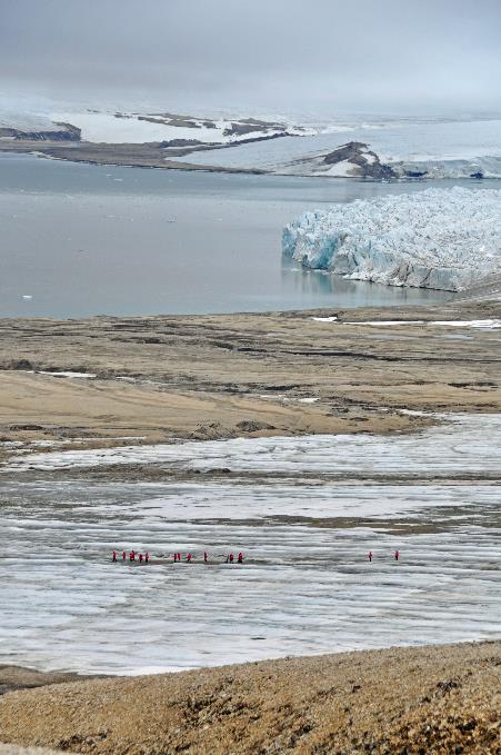 D:\DataFoto\Foto's - Reizen\2018-07-18 Spitsbergen\12 Vegafonna\Best Of\SPIT1767y.jpg