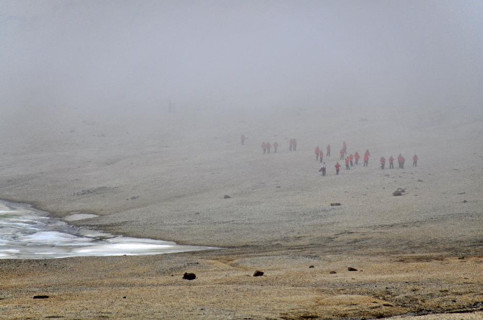 D:\DataFoto\Foto's - Reizen\2018-07-18 Spitsbergen\12 Vegafonna\Best Of\SPIT1801y.jpg