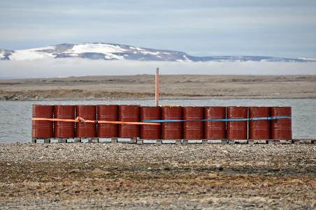 D:\DataFoto\Foto's - Reizen\2018-07-18 Spitsbergen\11 Kinnvika\Best Of\SPIT1595y.jpg